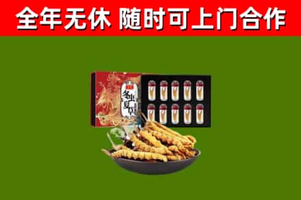 容城回收冬虫夏草价格