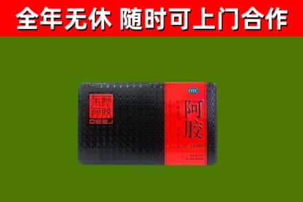 容城回收阿胶