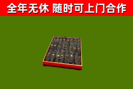 容城回收海参